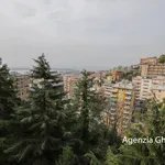 Affitto 1 camera appartamento di 91 m² in Genova