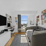 Rent 3 bedroom apartment in New York