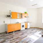 Rent 1 bedroom apartment in Prague