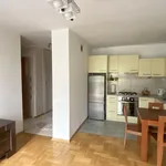 Rent 2 bedroom apartment of 36 m² in Krakow