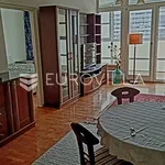 Rent 1 bedroom apartment of 70 m² in Zagreb