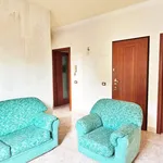 Rent 3 bedroom apartment of 90 m² in Milano