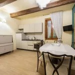 Rent 1 bedroom apartment of 50 m² in florence