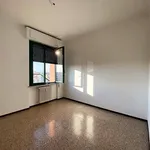 Affitto 3 camera appartamento di 93 m² in Novara