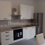 Affitto 1 camera appartamento di 85 m² in Piacenza