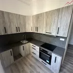 Rent 1 bedroom apartment in Chomutov