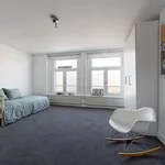 Rent 8 bedroom apartment of 280 m² in Museumkwartier