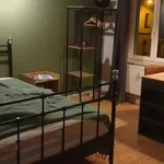 Miete 1 Schlafzimmer wohnung von 35 m² in Leipzig