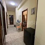 Rent 4 bedroom apartment of 120 m² in Foggia