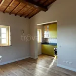 Rent 4 bedroom apartment of 100 m² in Bagno a Ripoli