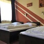 Rent 1 bedroom apartment of 22 m² in Pécs