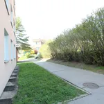 Rent 1 bedroom apartment in Brno