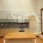 Rent 3 bedroom apartment of 122 m² in Prague