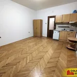 Rent 1 bedroom apartment in Brno venkov