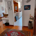 Rent 3 bedroom apartment of 110 m² in Roma