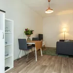 Rent 1 bedroom apartment of 377 m² in Rotterdam