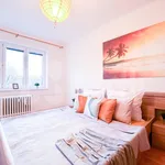 Rent 2 bedroom apartment in Ostrava