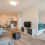 Rent 1 bedroom apartment in Vienna