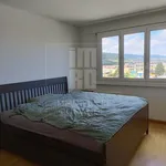 Rent 2 bedroom apartment in Geneva