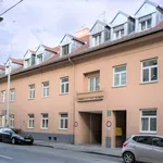 Rent 2 bedroom apartment of 44 m² in Graz