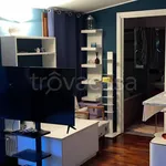 Rent 2 bedroom apartment of 50 m² in Milano