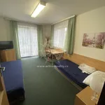 Rent 1 bedroom house in Brno