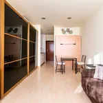 Rent 1 bedroom apartment of 25 m² in Seville