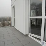 Rent 3 bedroom apartment of 53 m² in Szczecin