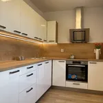 Rent 1 bedroom apartment in Ostrava