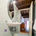 Rent 1 bedroom apartment in Florence