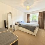 Rent 1 bedroom flat in Thanet