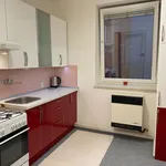 Rent 1 bedroom apartment in Nový Jičín