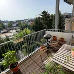 Rent 1 bedroom apartment of 70 m² in Dresden