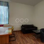 Rent 1 bedroom apartment in Havlíčkův Brod