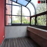 Pronajměte si 1 ložnic/e byt o rozloze 45 m² v Brno