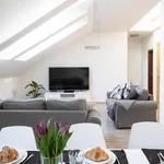 Rent 4 bedroom apartment of 150 m² in Prague