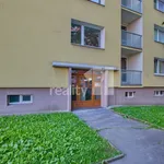 Rent 2 bedroom apartment of 45 m² in Liberec