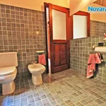 Rent 2 bedroom apartment of 60 m² in Novara