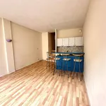 Rent 1 bedroom apartment of 25 m² in LYON 03