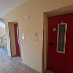 Rent 3 bedroom apartment of 91 m² in Graz