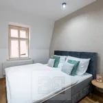 Rent 3 bedroom apartment in Karlovy Vary