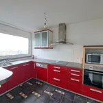 Rent 4 bedroom apartment of 82 m² in Nancy