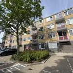 Rent 3 bedroom apartment of 73 m² in Vondelwijk