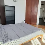 Rent 2 bedroom apartment in turin