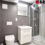 Rent 1 bedroom apartment of 50 m² in Brno