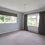 Rent 4 bedroom house in East Of England