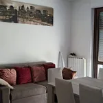 Rent 2 bedroom apartment of 40 m² in Piacenza