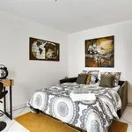 Rent 1 bedroom apartment of 25 m² in Paris