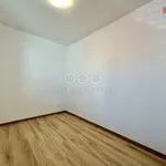 Rent 1 bedroom house of 120 m² in Tábor