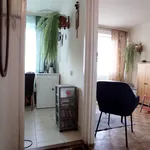 Rent 1 bedroom apartment of 30 m² in Tarnów